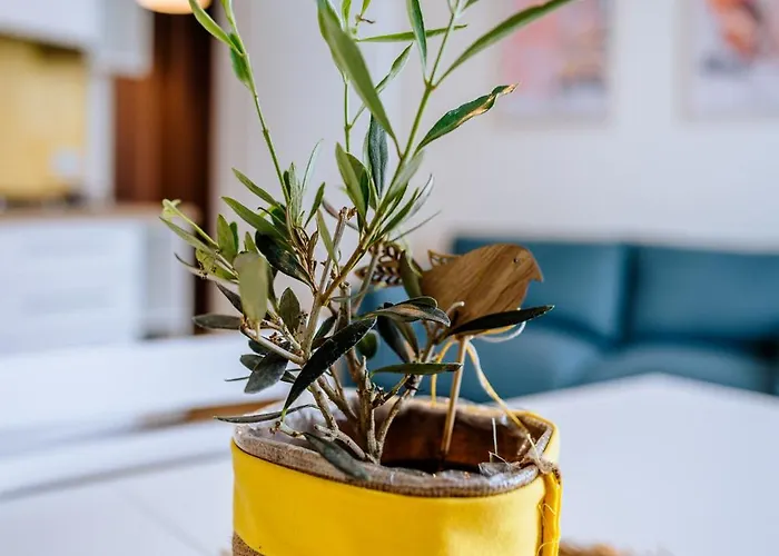 Venti Di Mare 公寓